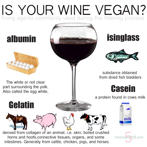 Is Josh wine vegan friendly